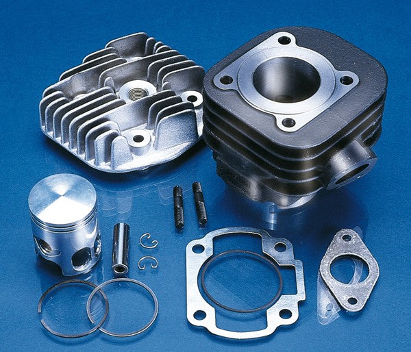 Cilinder met kop Polini 40mm Minarelli hor Ac 166.0093