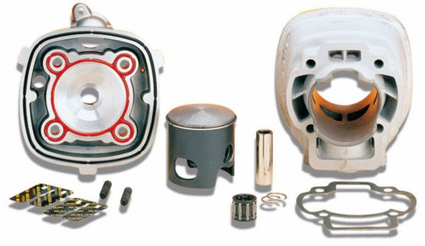 Cilinder met kop Malossi Mhr 47.6 mm Sco Piaggio Lc 318455