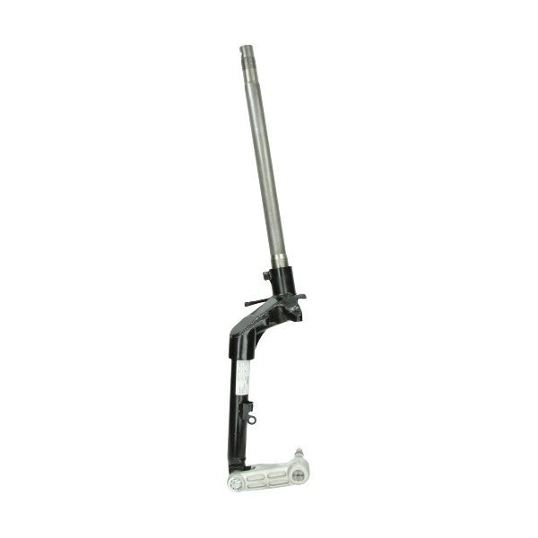 voorvork Piaggio origineel compleet euro 2 4 5 past op primavera, sprint, sprint 125 4t, sprint 150 4t 1c0003975