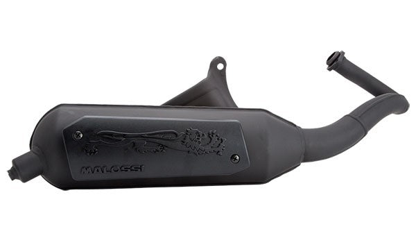 Uitlaat Malossi Ac Wild Lion Piaggio Fly 2takt / Zip va 2009 standaard model 3216590