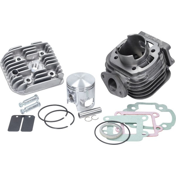 Cilinder met kop Malossi 47 mm Minarelli vert 317237