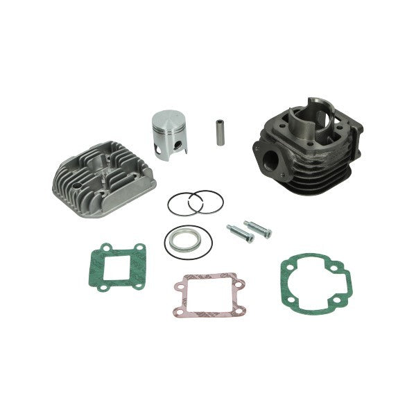 Cilinder met kop Malossi 40 mm Minarelli vert 316901