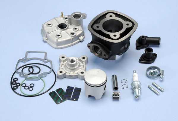 Cilinder met kop Polini racing 47mm Sco Piaggio Lc 140.0183r