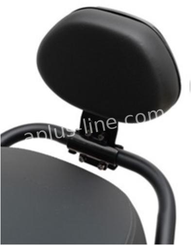 RUGSTEUN APLUS PASSEND OP SEGWAY E-SERIES