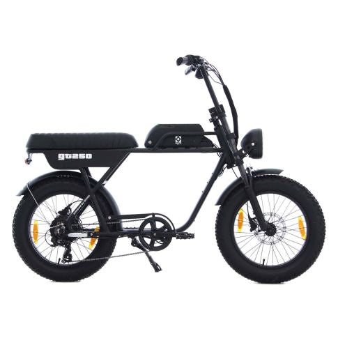 AGM GT250 FATBIKE