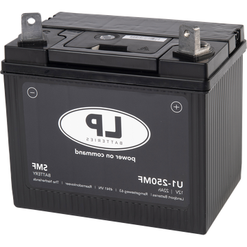 Landport U1-250MF SMF Grasmaaier Accu 12V 250A
