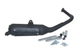 Uitlaat Malossi  2takt Wild Lion Kymco People s / Top boy / grand dink /  Super 9 / standaard model 3216593