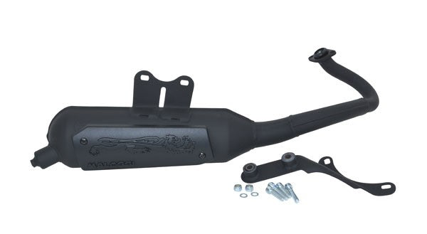 Uitlaat Malossi Wild Lion Vespa Lx 2takt /  Primavera /  Sprint /  Vespa S 2takt / standaard model 3216579