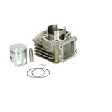 Cilinder DMP 46mm Minarelli vert