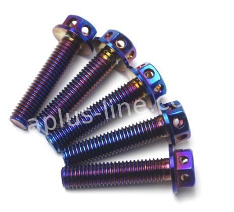BOUT APLUS M6X30 (10 STUKS)