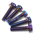 BOUT APLUS M6X30 (10 STUKS)