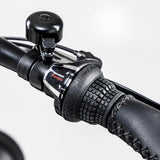 AGM GT250 FATBIKE