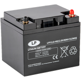 ACCU LFP V12-40 T6 (ALLEEN OP BESTELLING)