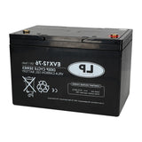 Accu LP12-60 T6 / VRLA EV12060 T6